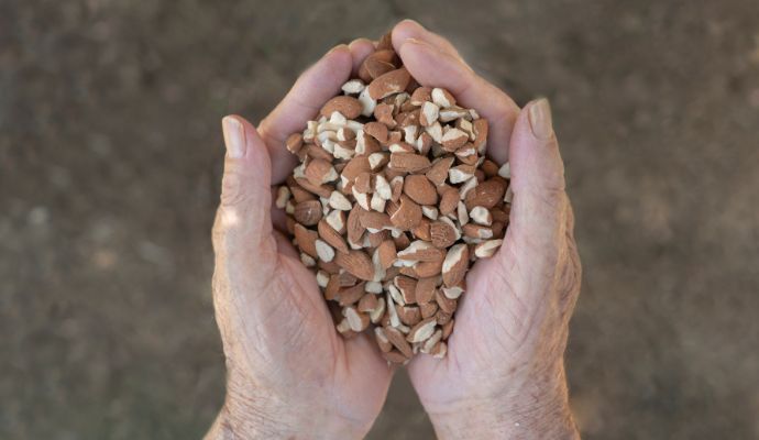 mandorle sgusciate a pezzi